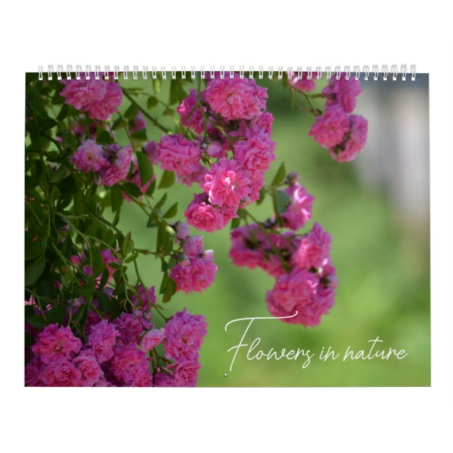 Flowers in Nature Calendar (Cover)