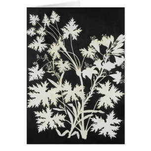 Flowers in Silhouette