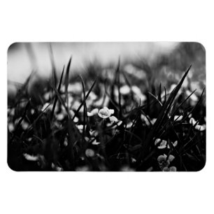 Flowers in the field in spring magnet