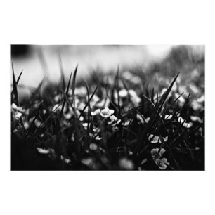 Flowers in the field in spring photo print
