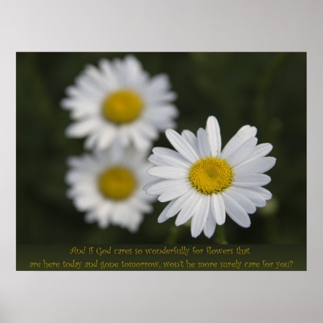 Flowers in the Field Poster (Front)