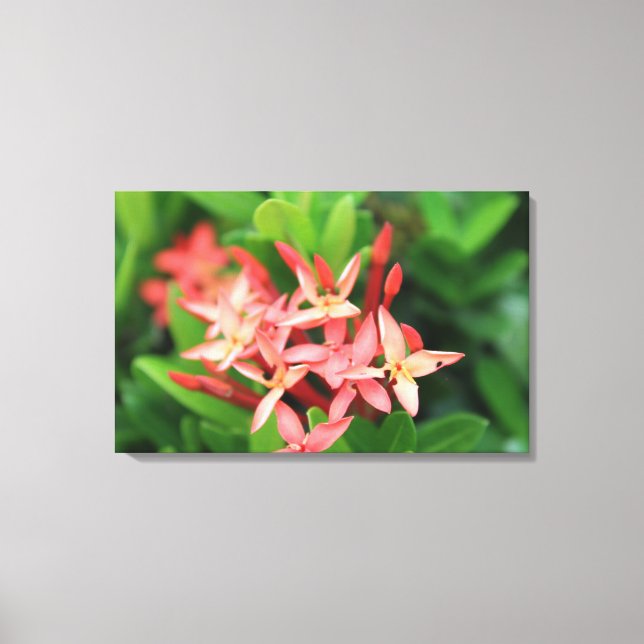 Flowers in the jungle canvas print (Front)