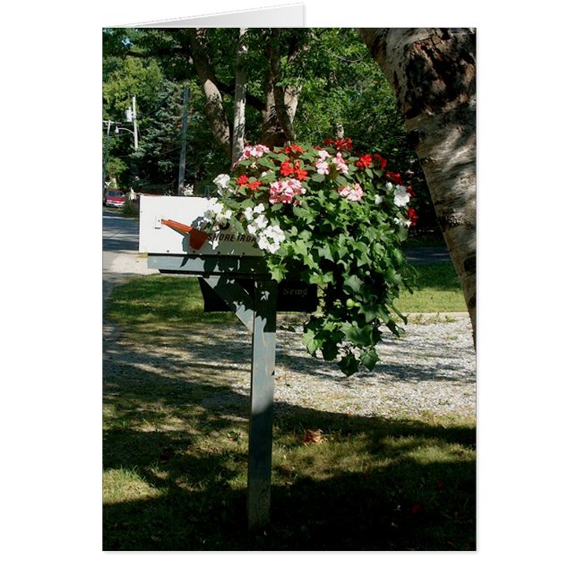 Flowers in the Mail (Front)