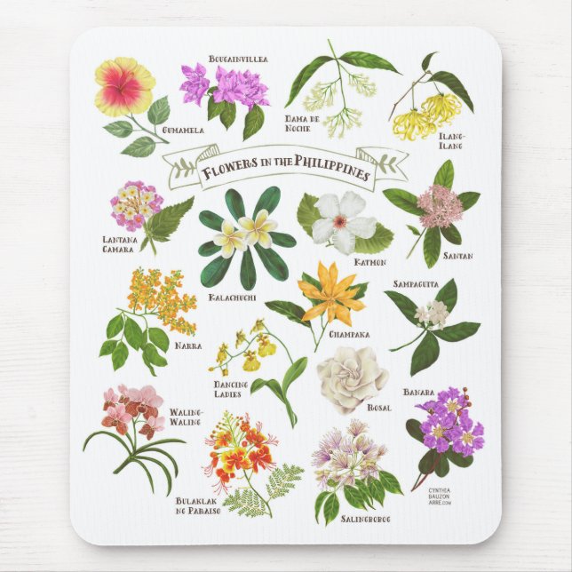 Flowers in the Philippines Mouse Pad (Front)