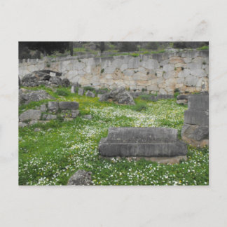 Flowers in the ruins of Delphi Postcard