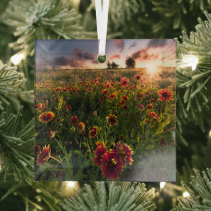 Flowers   Indian Blanket Wildflower Texas Glass Tree Decoration