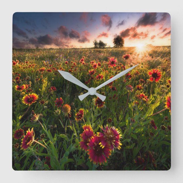 Flowers | Indian Blanket Wildflower Texas Square Wall Clock (Front)