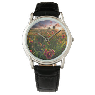 Flowers | Indian Blanket Wildflower Texas Watch