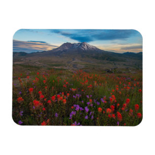 Flowers   Indian Paintbrush & Penstemon Magnet