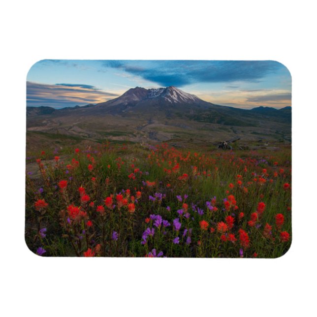 Flowers | Indian Paintbrush & Penstemon Magnet (Horizontal)