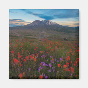 Flowers   Indian Paintbrush & Penstemon Magnet