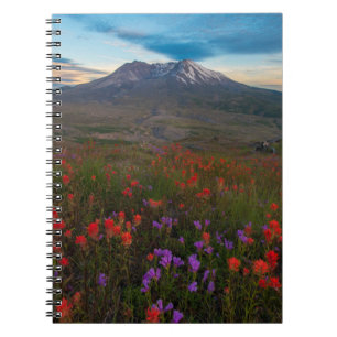Flowers Indian Paintbrush & Penstemon Notebook