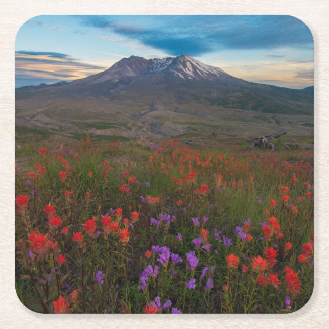 Flowers | Indian Paintbrush & Penstemon Square Paper Coaster (Front)