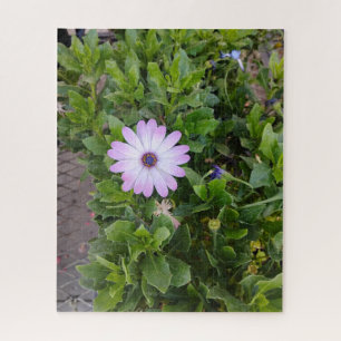 Flowers jigsaw puzzle