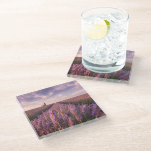 Flowers Lavender Southern France Glass Coaster