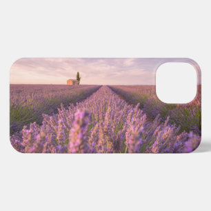 Flowers   Lavender Southern France iPhone 13 Case