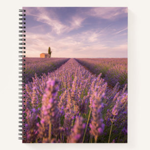 Flowers Lavender Southern France Notebook