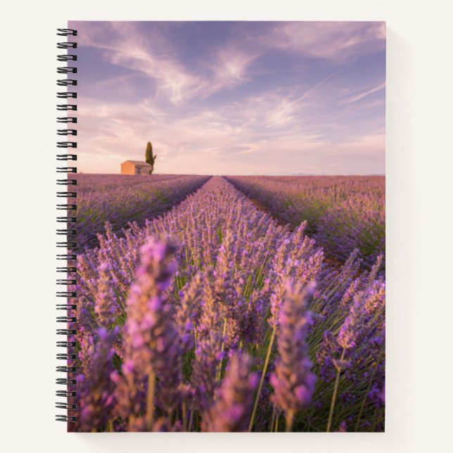 Flowers | Lavender Southern France Notebook (Front)