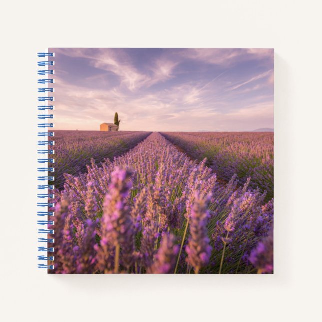 Flowers | Lavender Southern France Notebook (Front)