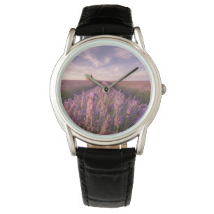 Flowers Lavender Southern France Watch