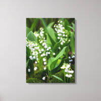 Flowers | Lily of the Valley Sweden