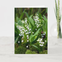 Flowers | Lily of the Valley Sweden