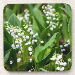 Flowers Lily of the Valley Sweden Coaster