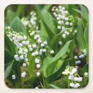 Flowers Lily of the Valley Sweden Square Paper Coaster