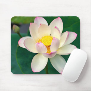 Flowers Lotus Water Flower Mouse Pad