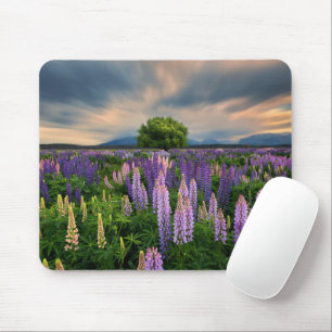 Flowers   Lupine Field in New Zealand Mouse Pad