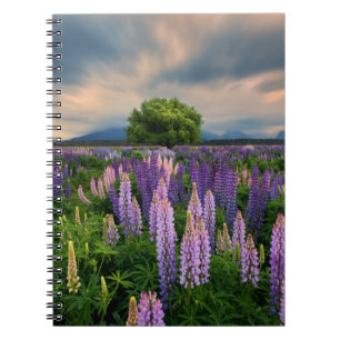Flowers   Lupine Field in New Zealand Notebook
