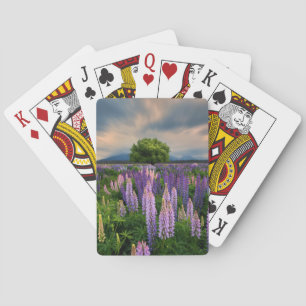 Flowers   Lupine Field in New Zealand Playing Cards
