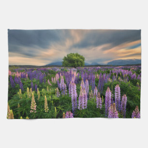 Flowers Lupine Field in New Zealand Tea Towel