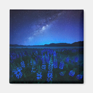 Flowers   Lupines Blooming  at Night Lake Tekapo Magnet