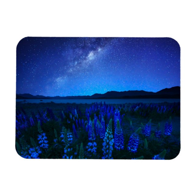 Flowers | Lupines Blooming  at Night Lake Tekapo Magnet (Horizontal)