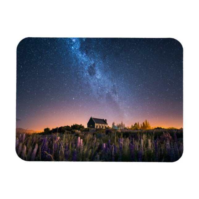 Flowers | Lupines Blooming Lake Tekapo New Zealand Magnet (Horizontal)