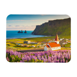 Flowers Lupines in Bloom Southern Iceland Magnet