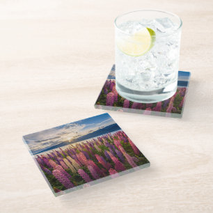 Flowers Lupines New Zealand Glass Coaster