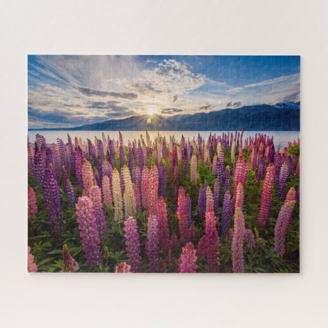 Flowers | Lupines New Zealand Jigsaw Puzzle (Horizontal)