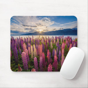 Flowers Lupines New Zealand Mouse Pad