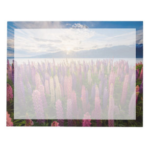 Flowers   Lupines New Zealand Notepad