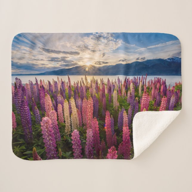 Flowers | Lupines New Zealand Sherpa Blanket (Front (Horizontal))