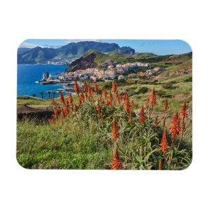 Flowers   Madeira Island Portugal Magnet