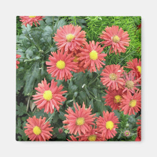 flowers magnet