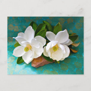Flowers   Magnolia Flower Postcard