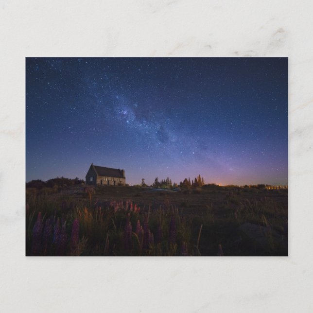 Flowers | Milky Way New Zealand Postcard (Front)