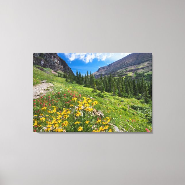 Flowers | Montana Flower Path Canvas Print (Front)