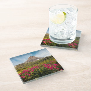 Flowers Montana's Glacier National Park Glass Coaster
