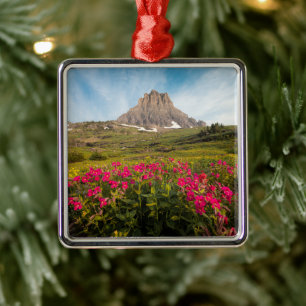 Flowers   Montana's Glacier National Park Metal Tree Decoration