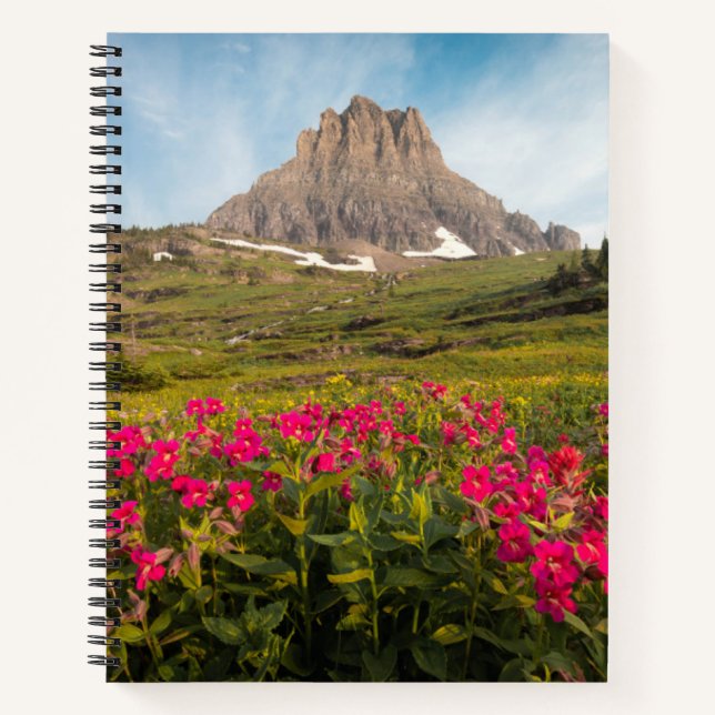 Flowers | Montana's Glacier National Park Notebook (Front)